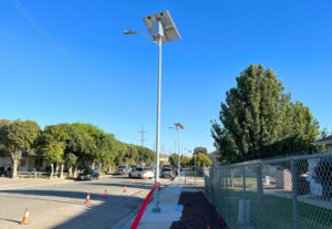 Solar street lights in a street
