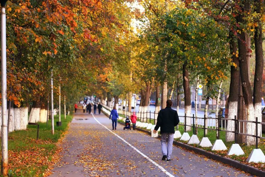 a leafy park pathway with people walking